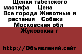 Щенки тибетского мастифа. › Цена ­ 30 000 - Все города Животные и растения » Собаки   . Московская обл.,Жуковский г.